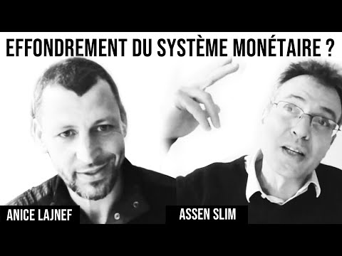 Duo 11 / Effondrement du système monétaire ? / Anice Lajnef / Assen Slim